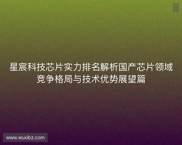 星宸科技芯片实力排名解析国产芯片领域竞争格局与技术优势展望篇