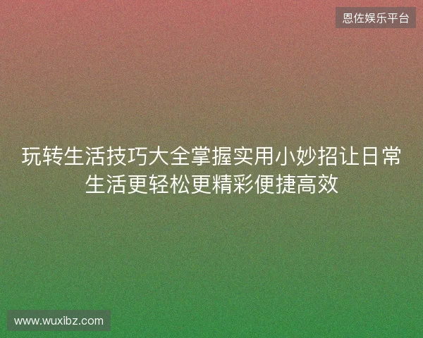 玩转生活技巧大全掌握实用小妙招让日常生活更轻松更精彩便捷高效